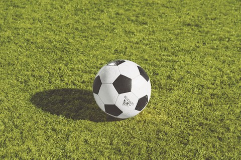 Ein Fußball liegt auf einer grünen Wiese.