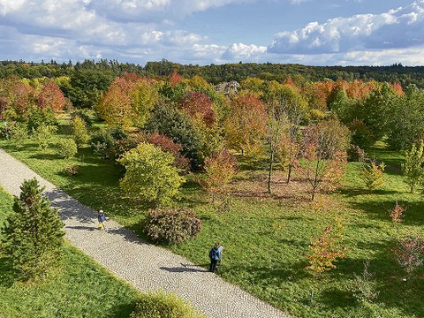 Das Nordamerika-Areal des Forstbotanischen Gartens in Tharandt von oben fotografiert.