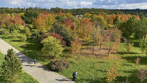 Das Nordamerika-Areal des Forstbotanischen Gartens in Tharandt von oben fotografiert.