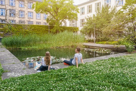 Das Foto zeigt zwei Studierende an einem Teich hinter dem Barkhausen-Bau der TU Dresden. Sie sitzen nebeneinander auf dem Boden. Auf der großen Wiese im Vordergrund blüht weißer Klee.