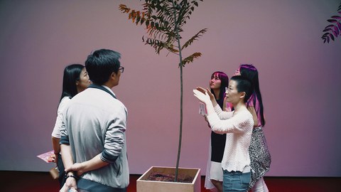 Menschen stehen um einen Baum, der in einen Blumenkasten gepflanzt wurde.