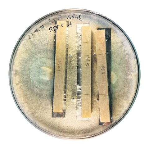 Verbundhölzer Test