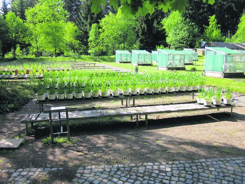 zu sehen ist ein Ökologischen Prüffeld 