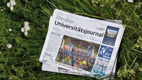 Universitätsjournal 11-19