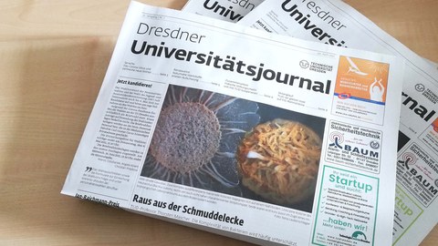 Universitätsjournal-7-21-Bild