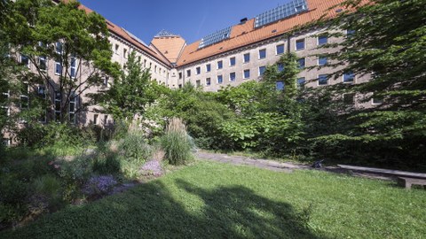 Hülssegarten 2