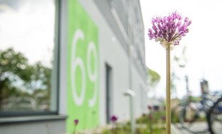 Foto: Im Vordergrund ist eine lila Zierlauch-Blüte abgebildet, im Hintergrund erkennt man das Gebäude Nr. 69 auf der Nöthnitzer Str.