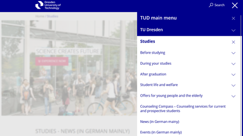 Screenshot of the navigation in the main menu item “Studies”