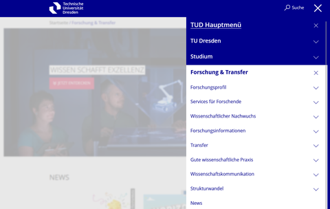 Screenshot der Navigation im Hauptmenüpunkt Forschung und Transfer