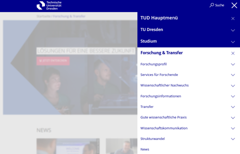 Screenshot der Navigation im Hauptmenüpunkt Forschung und Transfer