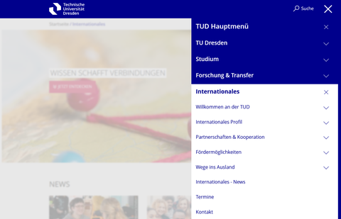 Screenshot der Navigation im Hauptmenüpunkt Internationales