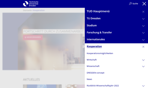 Screenshot der Navigation im Hauptmenüpunkt Kooperation