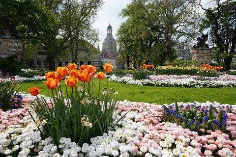Park zur Dresdner Altstadt, Frauenkirche und Kunstakademie im Hintergrund