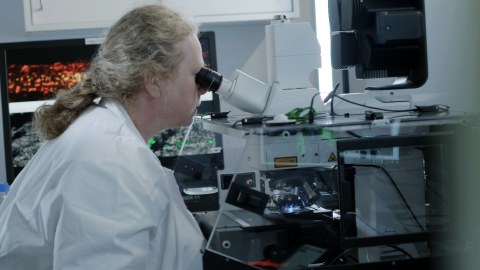 Professorin Becker arbeitet an einem Mikroskop