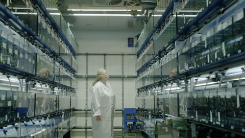 Professorin Becker steht in einem Gang mit Fischtanks 