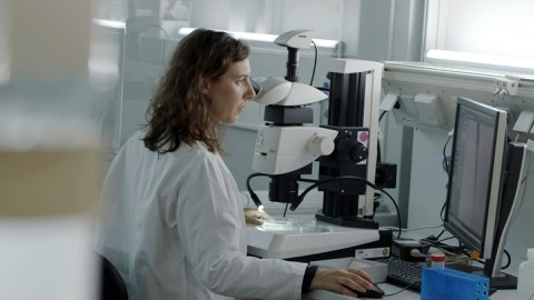 Dr. Rita Mateus arbeitet in einem Labor am Mikroskop.