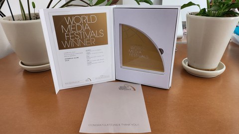 Der Gold Award in Form eines Dreiecks mit einer abgerundeten Seite sowie die Urkunde zur Auszeichnung 