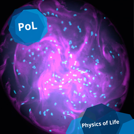 Foto PoL (Physcs of Life)