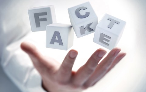 Fact - Fake