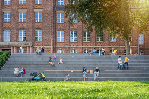 Kleine Gruppen von Personen verschiedenen Alters auf den Treppen des Fritz-Foerster-Baus auf dem TUD-Campus. Im Vordergrund eine Wiese, hinten ein großer Baum.