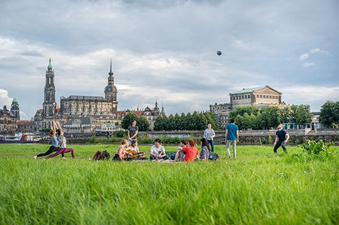 Foto zeigt eine Gruppe von Studenten an der Elbe. Sie spielen Volleyball, plaudern und machen Yoga.
