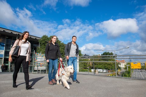 Foto dreier Studierender auf Fußgängerüberführung Bergstraße vor Hörsaalzentrum. Mittlere Studentin mit Blindenstock und Blindenhund.