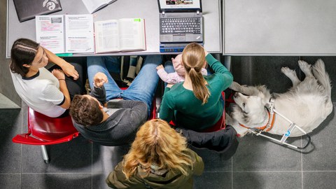 Foto von vier Studierenden an einem Tisch aus der Vogelperspektive. Auf dem Tisch liegen Fachbücher, ein zugeklappter Notebook und ein Notebook mit Braillezeile.Auf dem Schoss einer Studentin sitzt ein Baby, rechts daneben liegt ein Golden Retriever auf dem Boden, der das Führungsgeschirr eines Blindenhundes trägt.