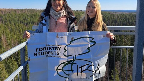 IFSA_Finnland_II.jpg