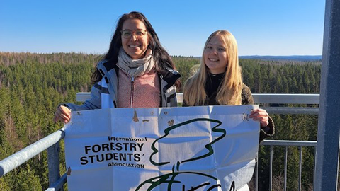 IFSA_Finnland_II.jpg
