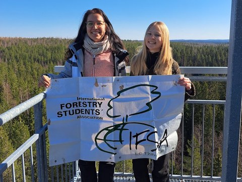 IFSA_Finnland_II.jpg