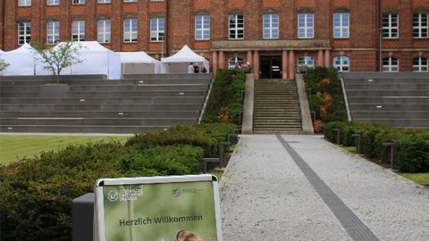 Bild Sommerfest