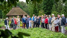 GFF Sommerfest Botanischer Garten 2022
