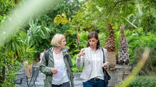 GFF Sommerfest Botanischer Garten 2022