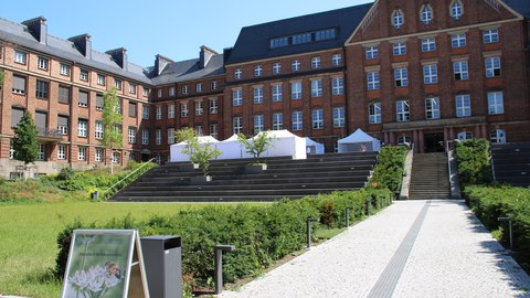 Sommerfest 2025