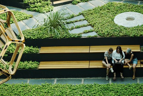 Biobau mit Pflenzen; drei Frauen sitzen auf der Holztreppe und schauen in einen Laptop