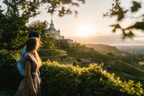 Zu sehen sind Weinberge in Radebeul und das Spitzhaus.