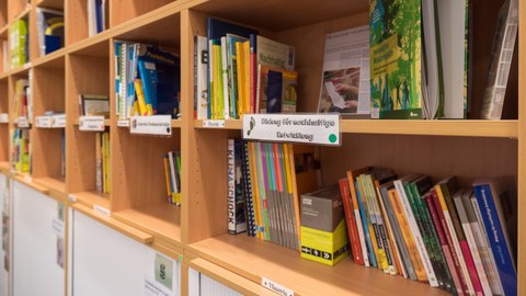 Bücherregal mit Büchern zur Bildung für Nachhaltige Entwicklung