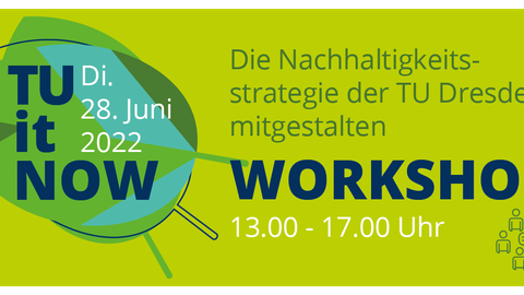 Grün-Blaues Blatt auf hellgrünem Untergrund mit Aufschrift "TU it NOW - Die Nachhaltigkeitsstrategie der TU Dresden mitgestalten"