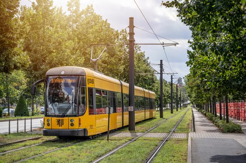 Eine STraßenbahn fährt auf einem Gleis. Bäume säumen die Bahnstrecke.