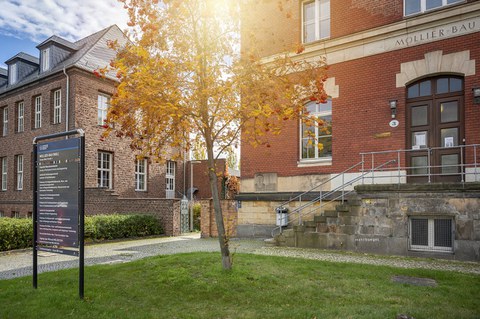 Backsteingebäude mit kleinem Herbstlichem Baum davor