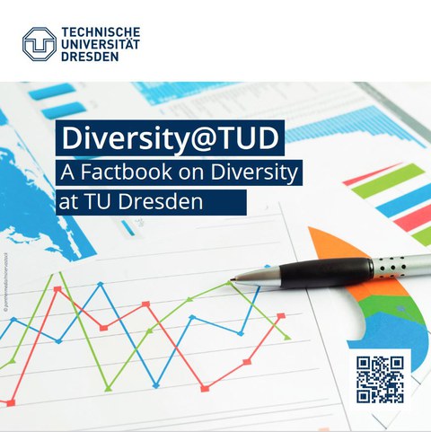 The photo shows the screenshot of the Diversity Factbook. It shows a pen pointing to a graphic with a green, blue and red line.