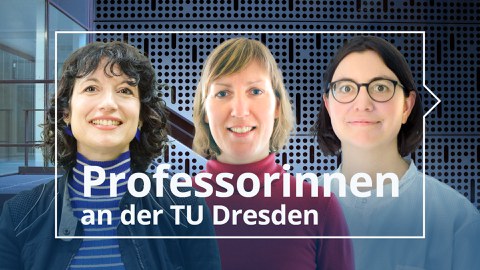 Three female professors at TU Dresden – dedicated to research and teaching.