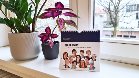 The picture shows a desk calendar with the title “HERSTORY - Extraordinary female professors at TU Dresden”. Several portraits of women are illustrated on the cover page, presumably depicting female professors. The calendar stands on a windowsill, with tw