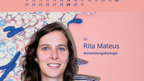 Kalenderblatt März mit Frau vor rosafarbenem Hintergrund
