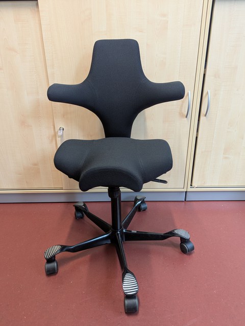 Photo of HÅG Capisco 8106_Office Chair 2 shown from the front.