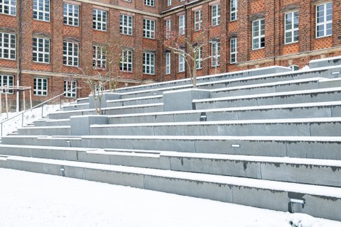 Foto zeigt die verschneiten Treppen hoch zum Fritz-Foerster-Bau.