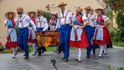 Folkloretanzensembles beim Tanz