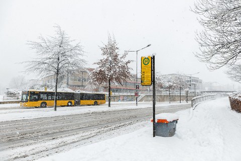 Das Foto zeigt die Bushaltestelle vor dem Hörsaalzentrum der TU Dresden im Winter. Sowohl der Weg zum Gebäude als auch die Straße sind schneebedeckt. 