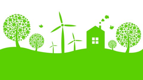 Die grün-weiße Grafik stellt eine Landschaft mit einem Haus, vier Bäumen und drei Windrädern dar.  