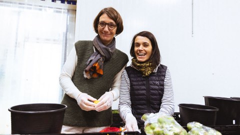 Das Team des Prorektorats Universitätskultur hat an seinem Projekttag 2023 bei der Tafel Dresden geholfen, Obst und Gemüse zu sortieren.